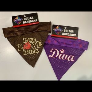 Trendy Paws Collar Bandanna - Set of 2